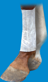 Decron Leg Wrap Poultice - Decron Horse Care