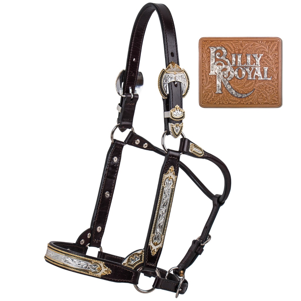 Billy Royal Scottsdale Classic Show Halters - Free Delivery - Western World  Saddlery