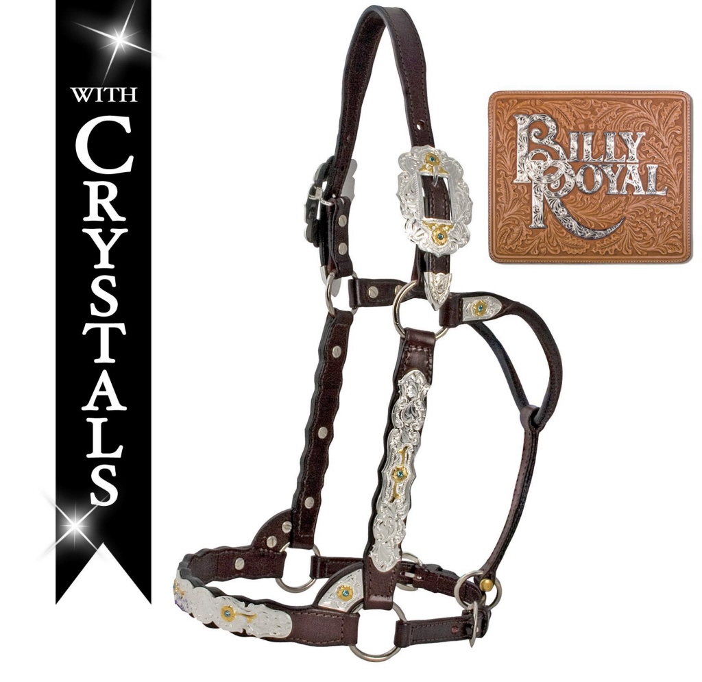 Billy Royal Miss Classic Show Halters - Free Delivery - Western