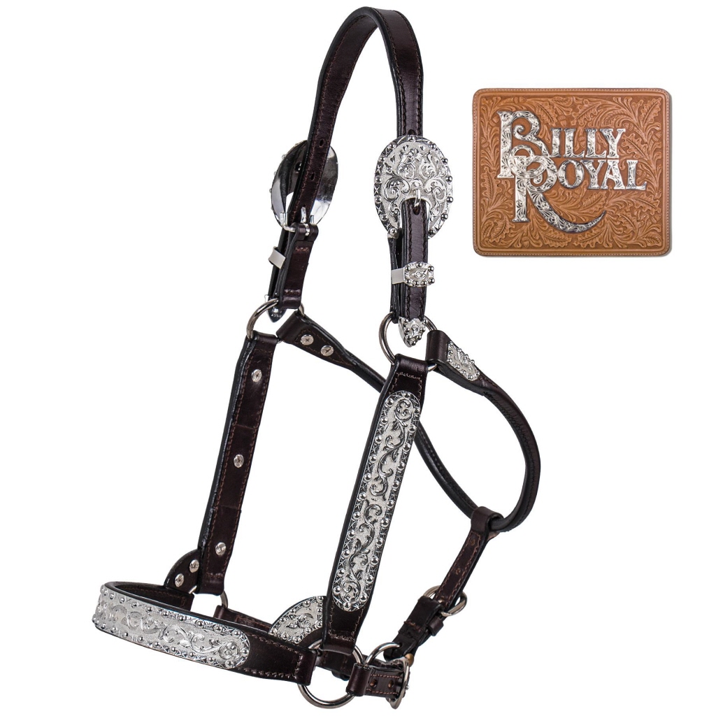 Billy Royal Pure & Simple Show Halters - Free Delivery - Western World  Saddlery